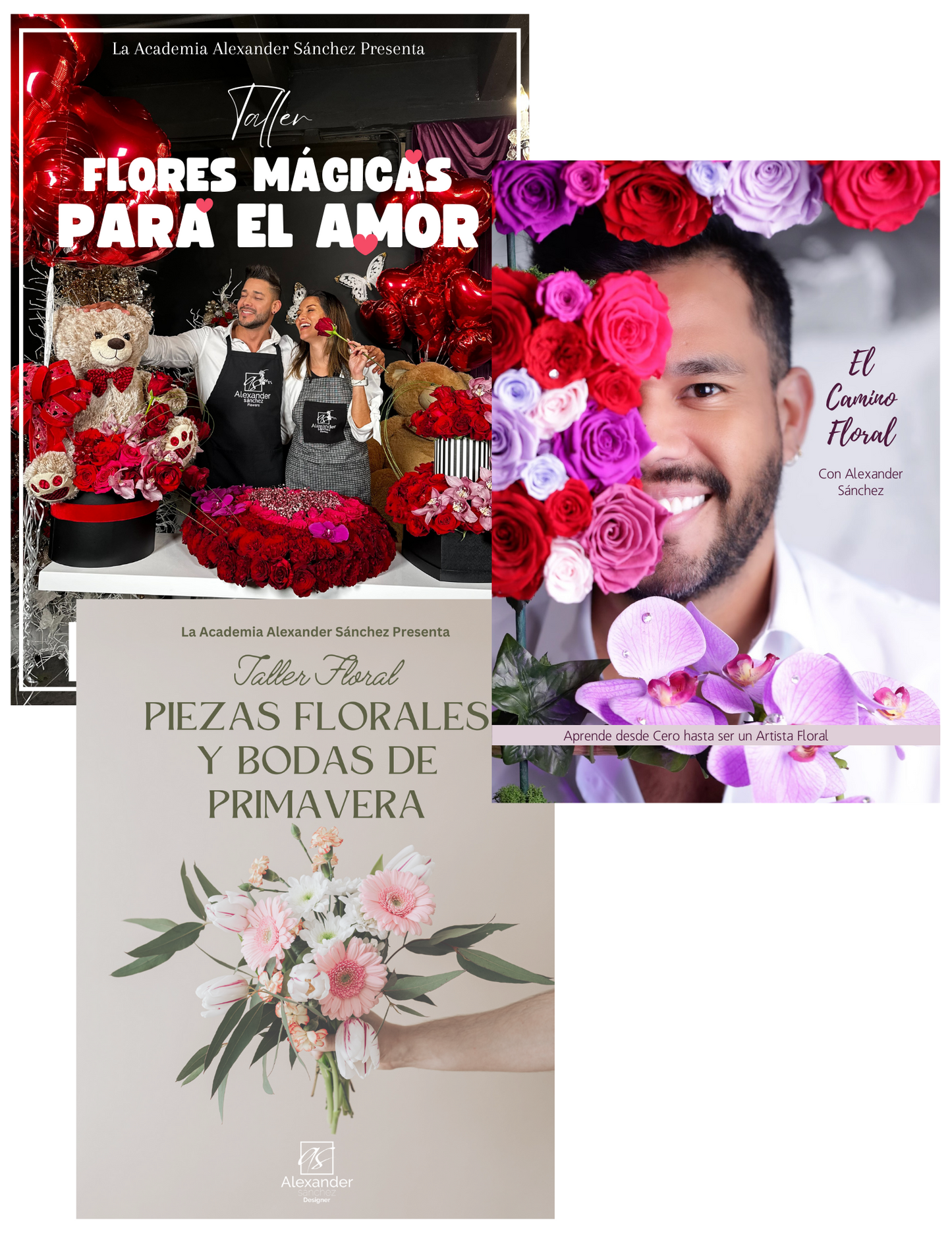 3-Pack de Cursos de Arte Floral