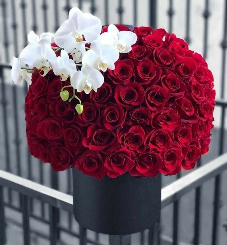 100 Roses Box with Orchids