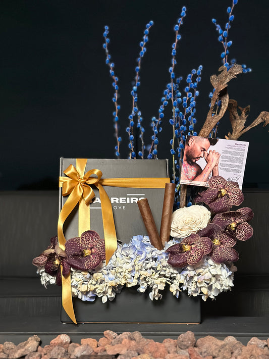 Barreiro Trové BOX for Men