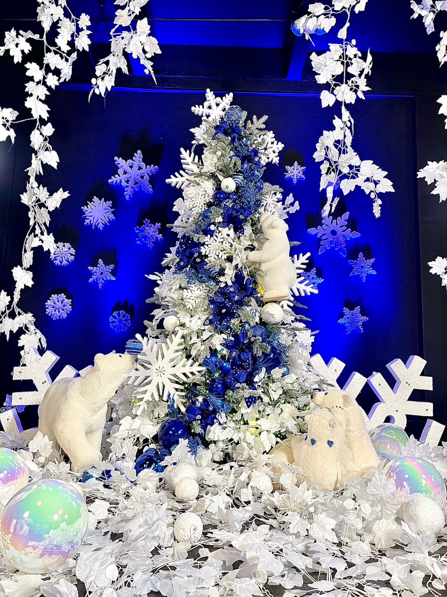 Magical Christmas Masterclass Para Profesionales