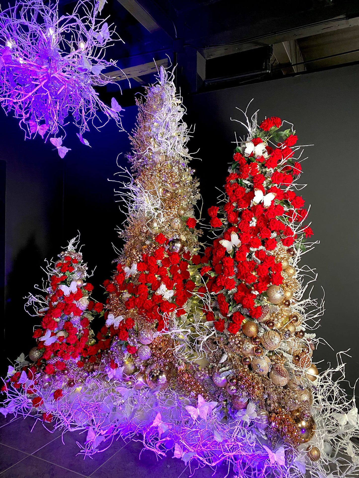 Magical Christmas Masterclass Para Profesionales